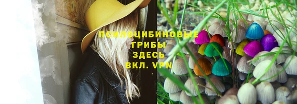 гашик Аркадак