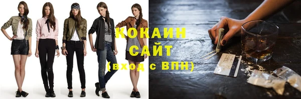 гашик Аркадак