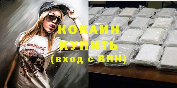 гашик Аркадак
