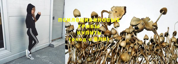 герыч Арсеньев