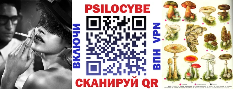 Псилоцибиновые грибы прущие грибы  Купить закладки  Мглин 