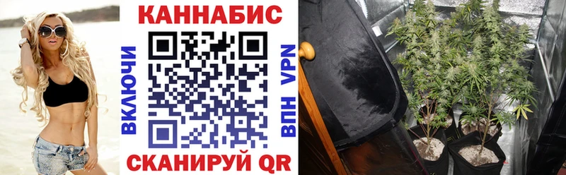 Марихуана White Widow  Купить закладки  Мглин 